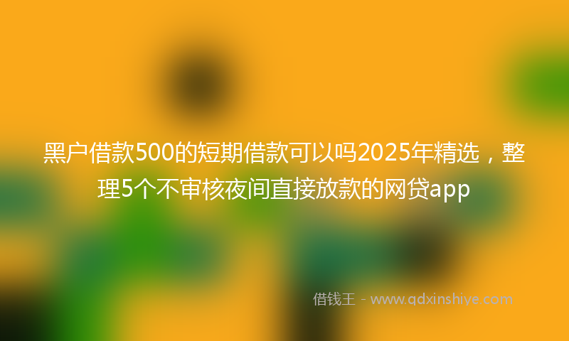 黑户借款500的短期借款可以吗2025年精选，整理5个不审核夜间直接放款的网贷app