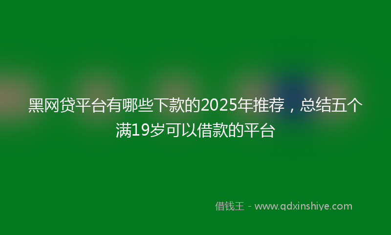 黑网贷平台有哪些下款的2025年推荐，总结五个满19岁可以借款的平台