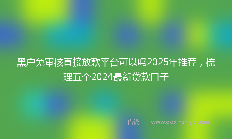 黑户免审核直接放款平台可以吗2025年推荐，梳理五个2024最新贷款口子