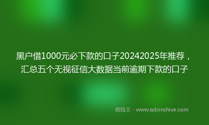 黑户借1000元必下款的口子20242025年推荐，汇总五个无视征信大数据当前逾期下款的口子
