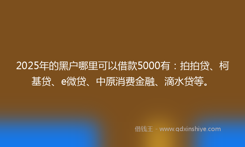 2025年的黑户哪里可以借款5000有：拍拍贷、柯基贷、e微贷、中原消费金融、滴水贷等。