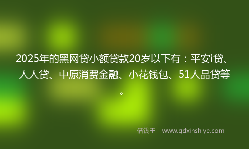 2025年的黑网贷小额贷款20岁以下有：平安i贷、人人贷、中原消费金融、小花钱包、51人品贷等。