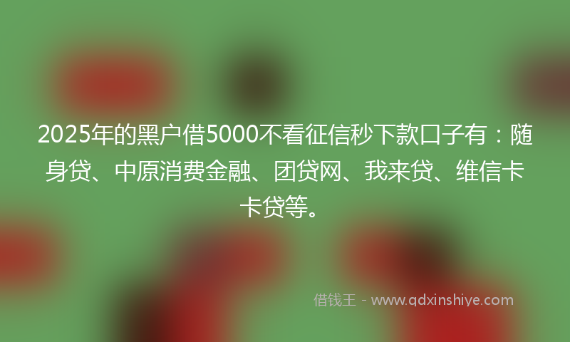 2025年的黑户借5000不看征信秒下款口子有：随身贷、中原消费金融、团贷网、我来贷、维信卡卡贷等。