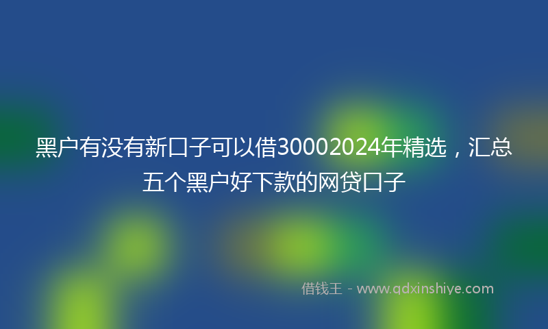 黑户有没有新口子可以借30002024年精选，汇总五个黑户好下款的网贷口子