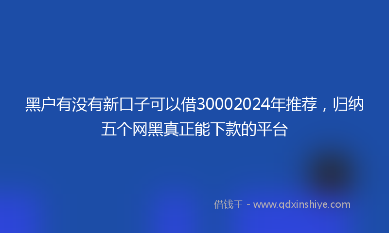 黑户有没有新口子可以借30002024年推荐，归纳五个网黑真正能下款的平台