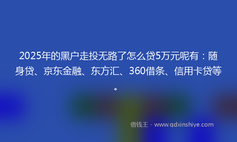 2025年的黑户走投无路了怎么贷5万元呢有：随身贷、京东金融、东方汇、360借条、信用卡贷等。