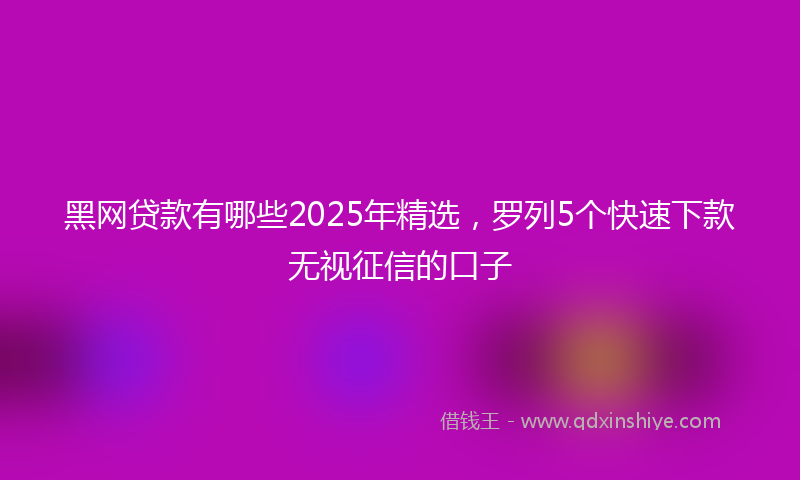 黑网贷款有哪些2025年精选，罗列5个快速下款无视征信的口子