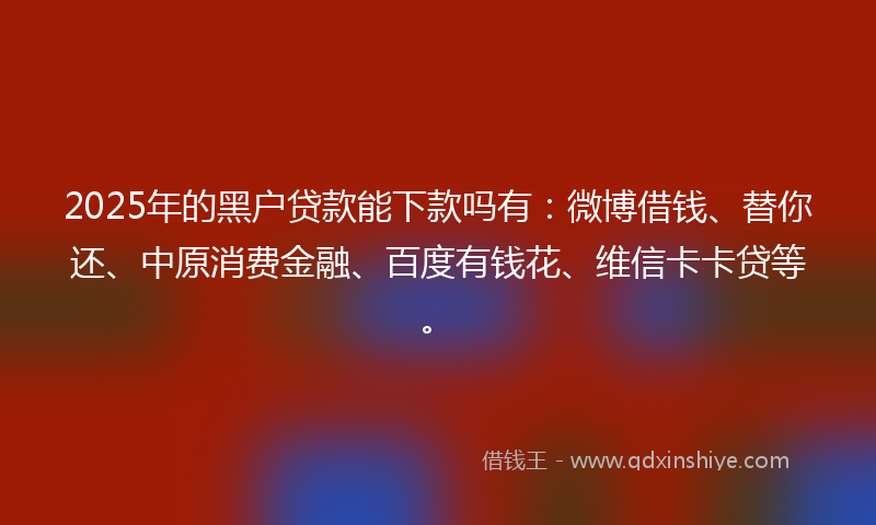 2025年的黑户贷款能下款吗有：微博借钱、替你还、中原消费金融、百度有钱花、维信卡卡贷等。