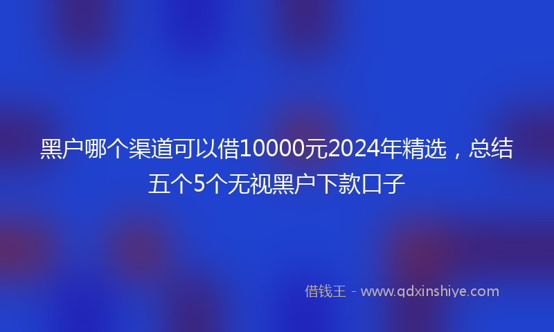 黑户哪个渠道可以借10000元2024年精选，总结五个5个无视黑户下款口子