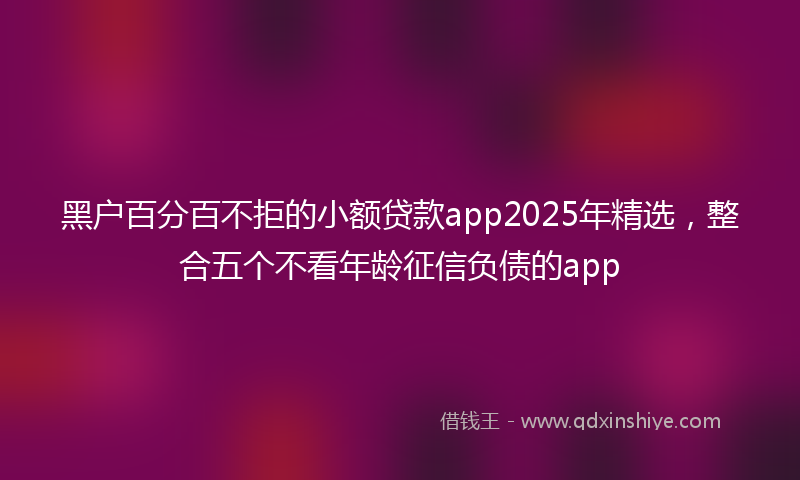 黑户百分百不拒的小额贷款app2025年精选，整合五个不看年龄征信负债的app