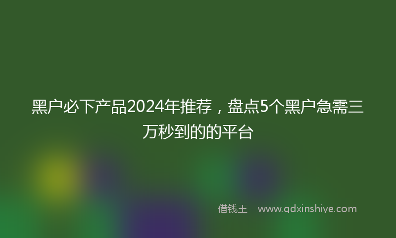 黑户必下产品2024年推荐，盘点5个黑户急需三万秒到的的平台