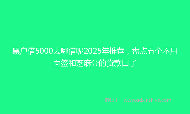 黑户借5000去哪借呢2025年推荐，盘点五个不用面签和芝麻分的贷款口子