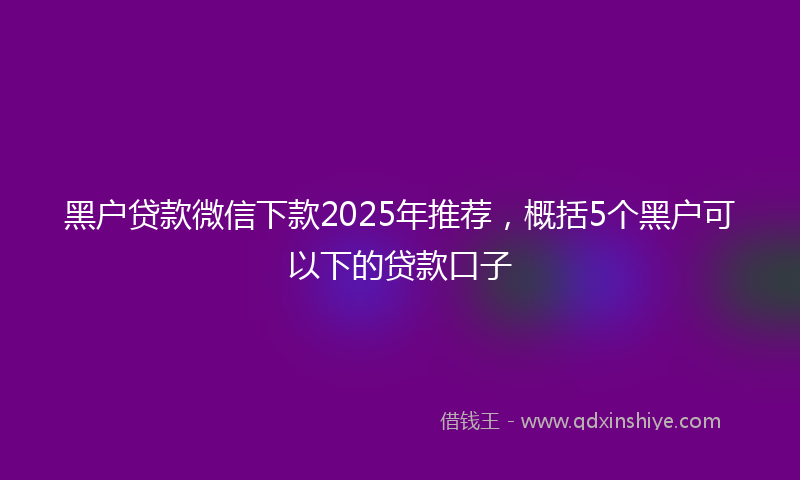 黑户贷款微信下款2025年推荐，概括5个黑户可以下的贷款口子