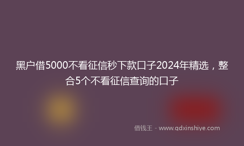 黑户借5000不看征信秒下款口子2024年精选，整合5个不看征信查询的口子
