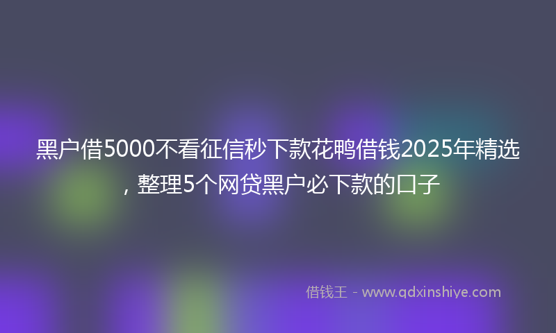 黑户借5000不看征信秒下款花鸭借钱2025年精选，整理5个网贷黑户必下款的口子