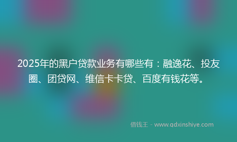 2025年的黑户贷款业务有哪些有：融逸花、投友圈、团贷网、维信卡卡贷、百度有钱花等。
