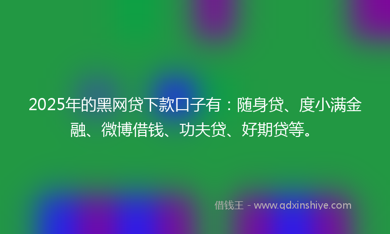 2025年的黑网贷下款口子有：随身贷、度小满金融、微博借钱、功夫贷、好期贷等。