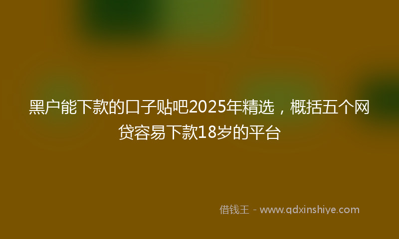 黑户能下款的口子贴吧2025年精选，概括五个网贷容易下款18岁的平台