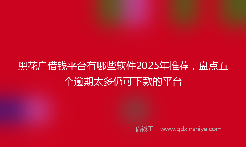 黑花户借钱平台有哪些软件2025年推荐，盘点五个逾期太多仍可下款的平台