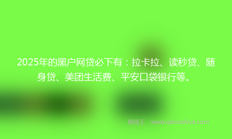 2025年的黑户网贷必下有：拉卡拉、读秒贷、随身贷、美团生活费、平安口袋银行等。