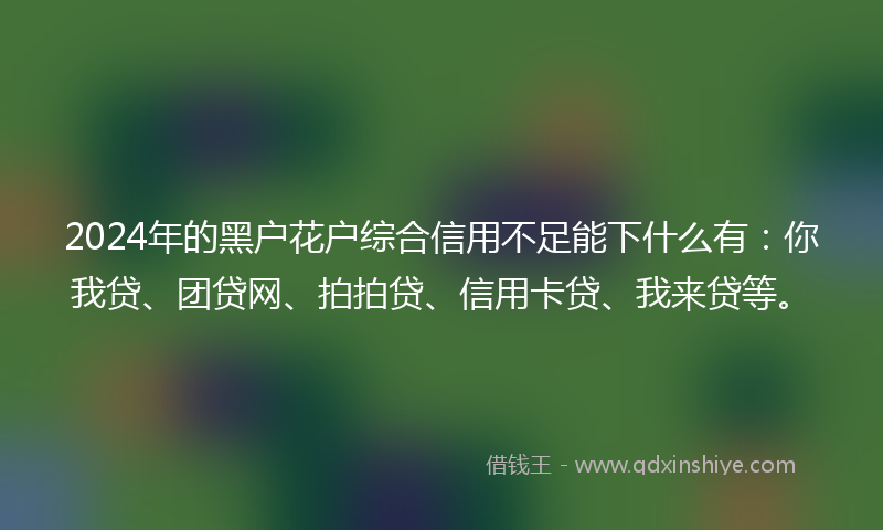 2024年的黑户花户综合信用不足能下什么有：你我贷、团贷网、拍拍贷、信用卡贷、我来贷等。