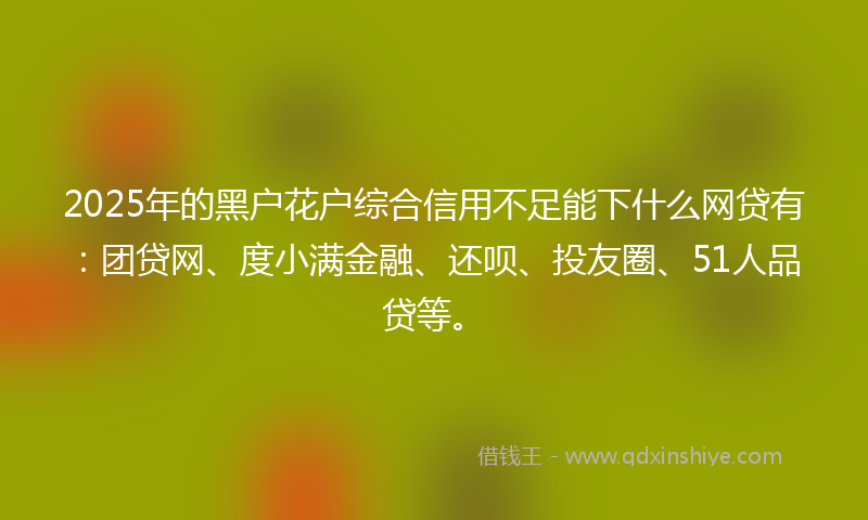2025年的黑户花户综合信用不足能下什么网贷有：团贷网、度小满金融、还呗、投友圈、51人品贷等。