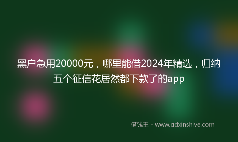 黑户急用20000元，哪里能借2024年精选，归纳五个征信花居然都下款了的app