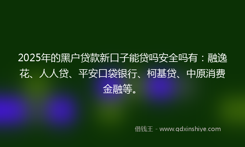 2025年的黑户贷款新口子能贷吗安全吗有：融逸花、人人贷、平安口袋银行、柯基贷、中原消费金融等。