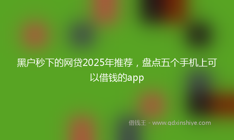 黑户秒下的网贷2025年推荐，盘点五个手机上可以借钱的app