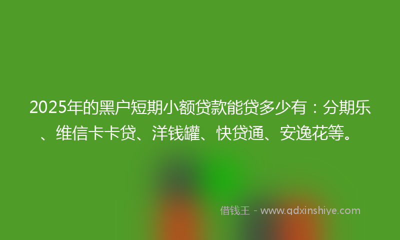 2025年的黑户短期小额贷款能贷多少有：分期乐、维信卡卡贷、洋钱罐、快贷通、安逸花等。