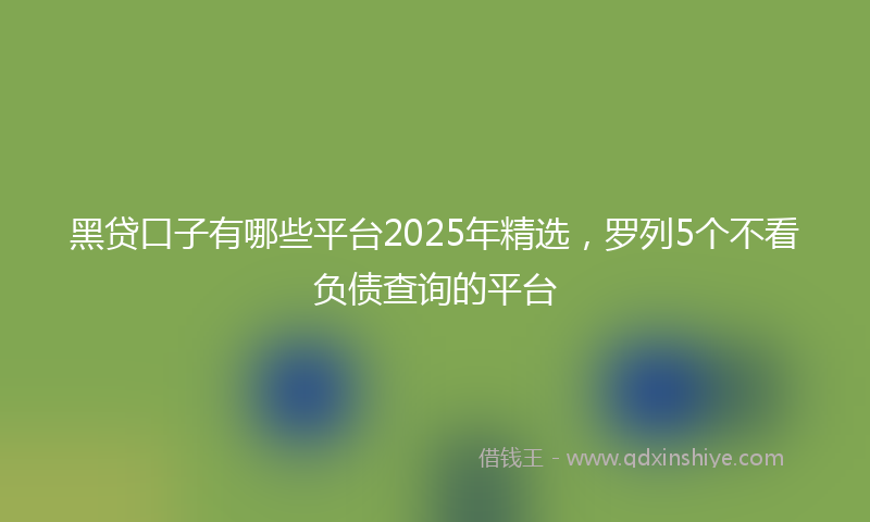 黑贷口子有哪些平台2025年精选，罗列5个不看负债查询的平台