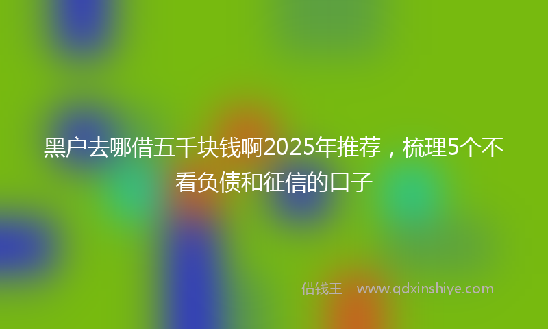 黑户去哪借五千块钱啊2025年推荐，梳理5个不看负债和征信的口子