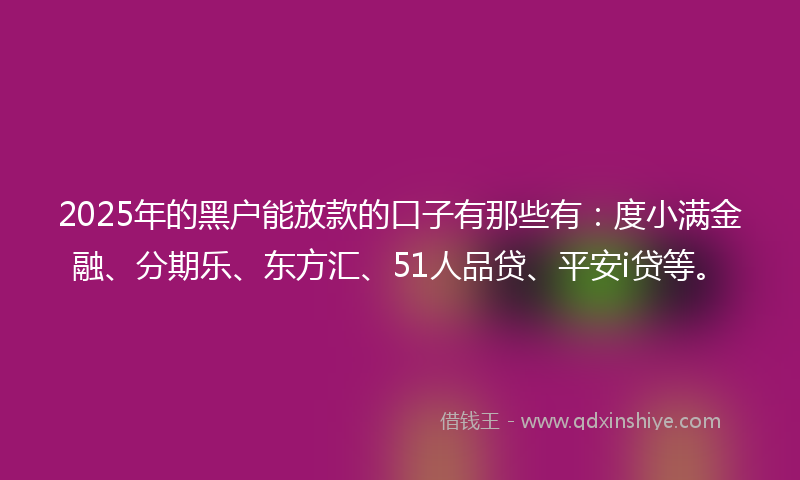 2025年的黑户能放款的口子有那些有：度小满金融、分期乐、东方汇、51人品贷、平安i贷等。
