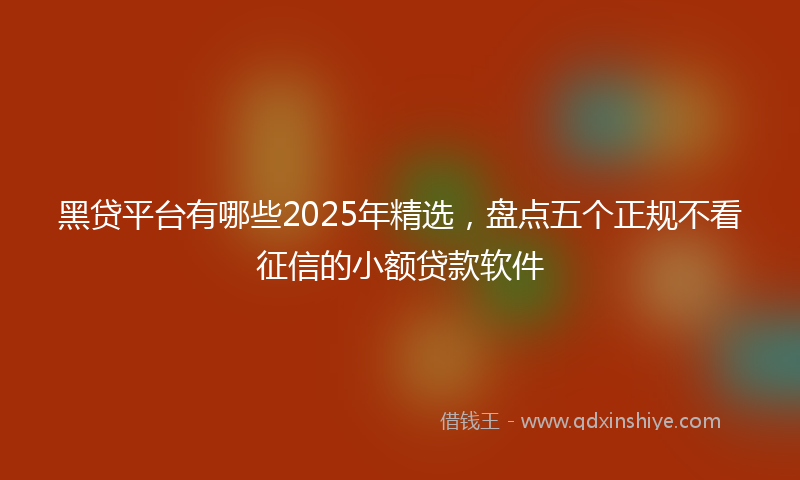 黑贷平台有哪些2025年精选，盘点五个正规不看征信的小额贷款软件