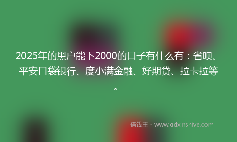 2025年的黑户能下2000的口子有什么有：省呗、平安口袋银行、度小满金融、好期贷、拉卡拉等。
