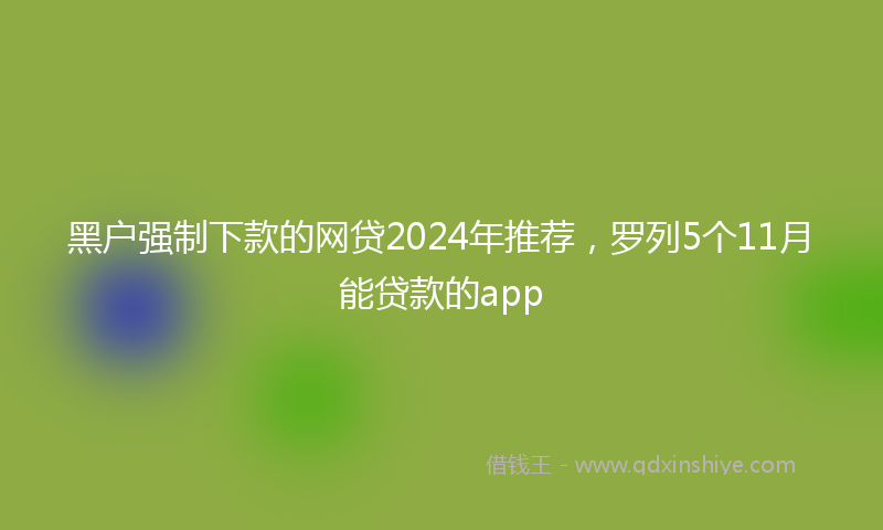 黑户强制下款的网贷2024年推荐，罗列5个11月能贷款的app