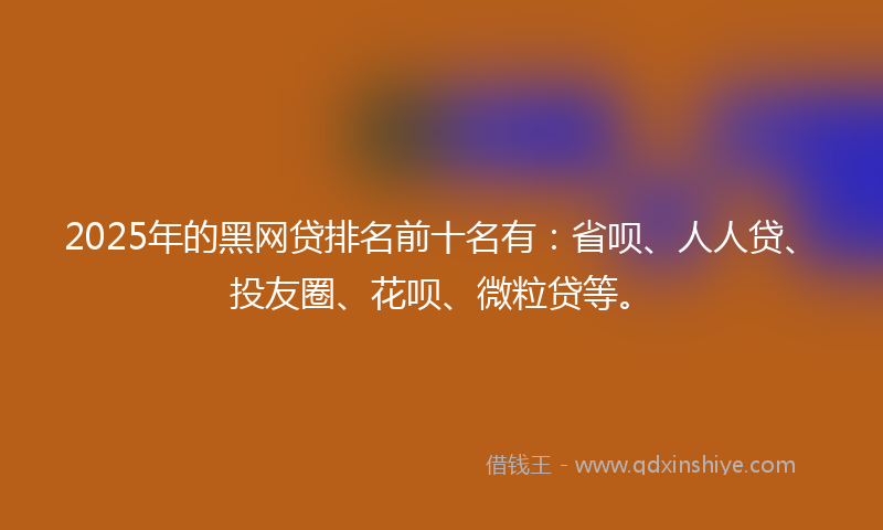 2025年的黑网贷排名前十名有：省呗、人人贷、投友圈、花呗、微粒贷等。