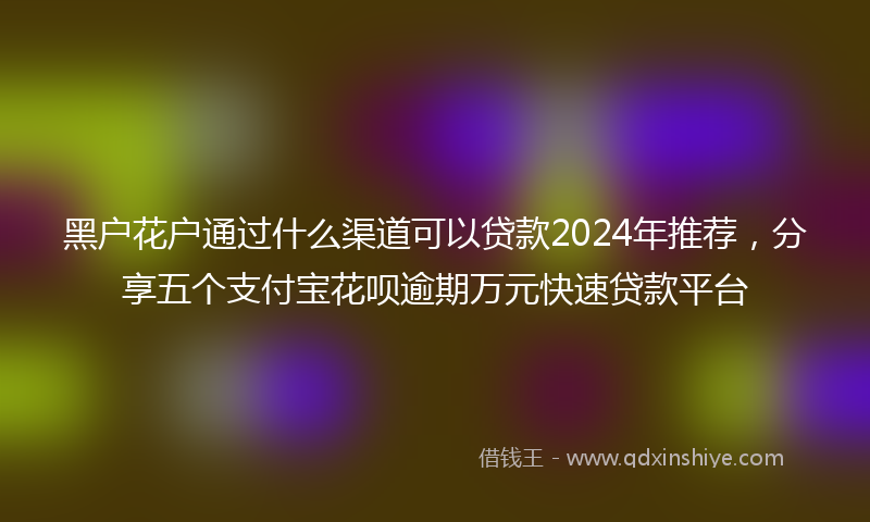 黑户花户通过什么渠道可以贷款2024年推荐，分享五个支付宝花呗逾期万元快速贷款平台