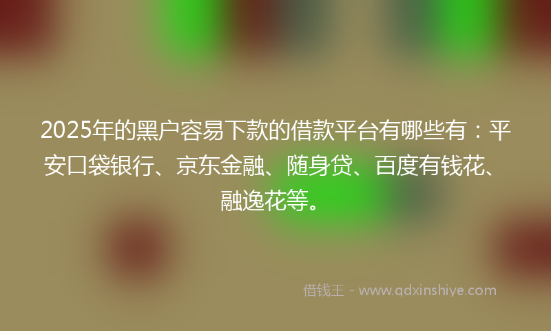 2025年的黑户容易下款的借款平台有哪些有：平安口袋银行、京东金融、随身贷、百度有钱花、融逸花等。
