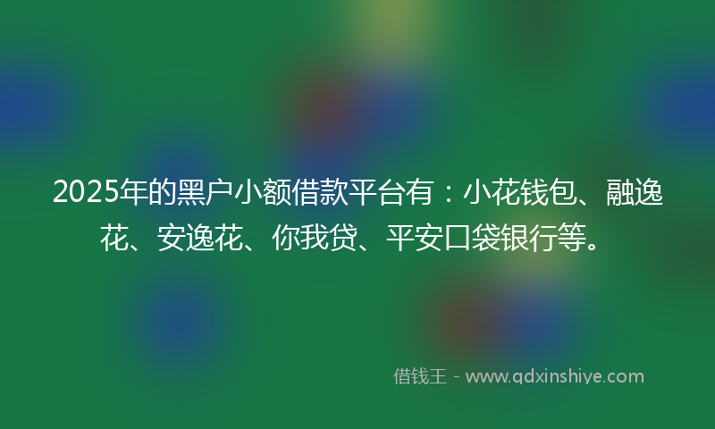 2025年的黑户小额借款平台有：小花钱包、融逸花、安逸花、你我贷、平安口袋银行等。
