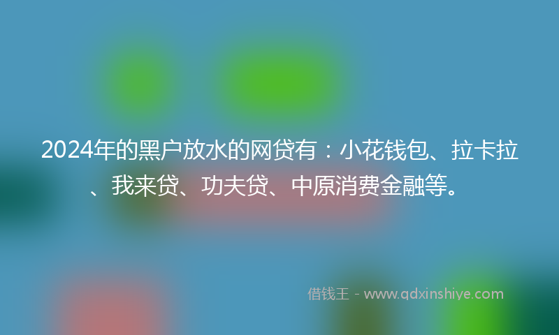 2024年的黑户放水的网贷有：小花钱包、拉卡拉、我来贷、功夫贷、中原消费金融等。