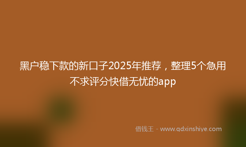 黑户稳下款的新口子2025年推荐，整理5个急用不求评分快借无忧的app