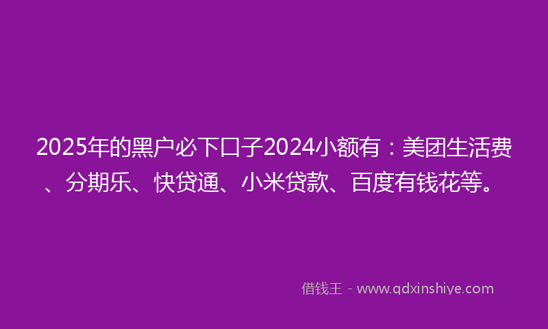 2025年的黑户必下口子2024小额有：美团生活费、分期乐、快贷通、小米贷款、百度有钱花等。