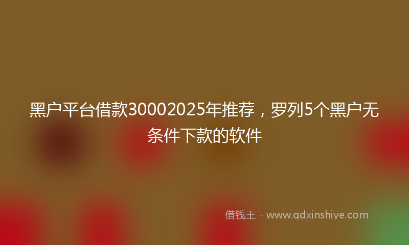 黑户平台借款30002025年推荐，罗列5个黑户无条件下款的软件