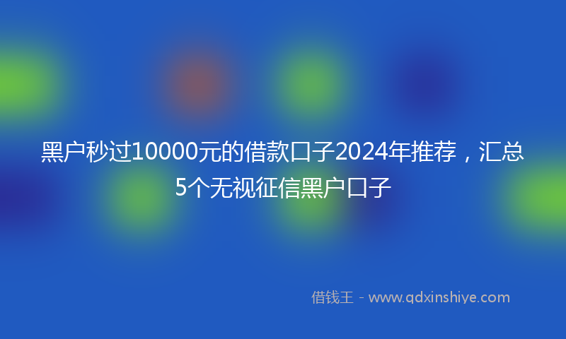 黑户秒过10000元的借款口子2024年推荐，汇总5个无视征信黑户口子