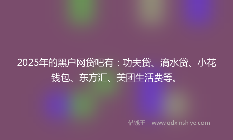 2025年的黑户网贷吧有：功夫贷、滴水贷、小花钱包、东方汇、美团生活费等。
