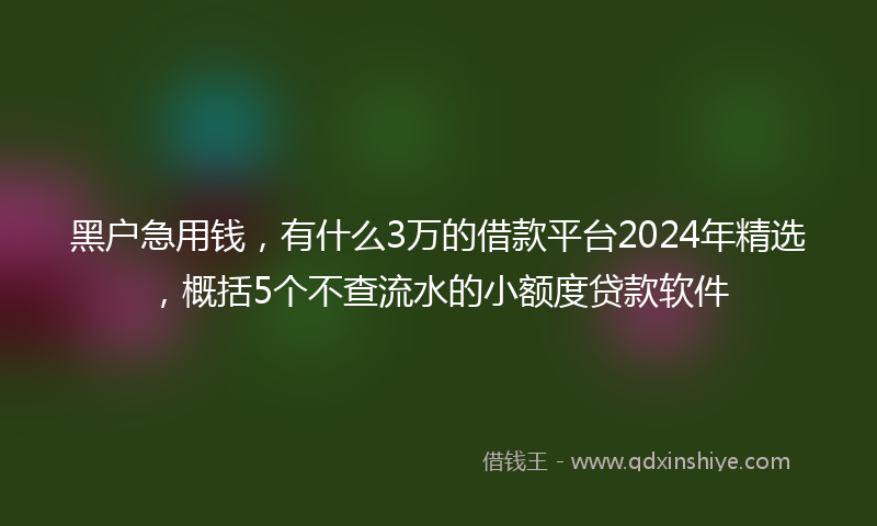 黑户急用钱，有什么3万的借款平台2024年精选，概括5个不查流水的小额度贷款软件