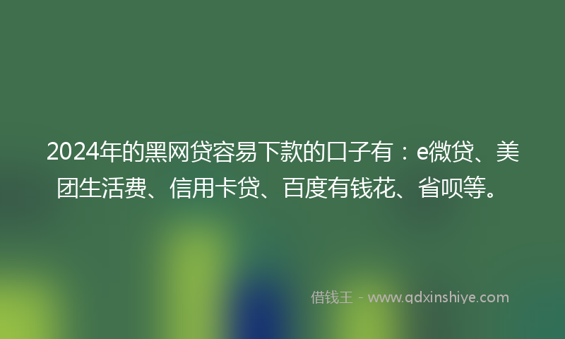 2024年的黑网贷容易下款的口子有：e微贷、美团生活费、信用卡贷、百度有钱花、省呗等。