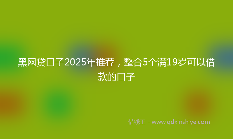 黑网贷口子2025年推荐，整合5个满19岁可以借款的口子