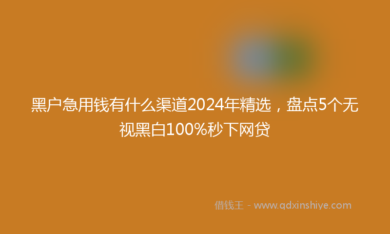黑户急用钱有什么渠道2024年精选,盘点5个无视黑白100%秒下网贷